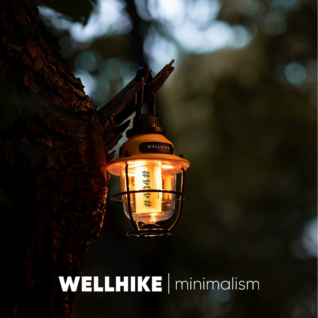 Wellhike mini pinecone camping lantern, rechargeable camp light, product photo 17