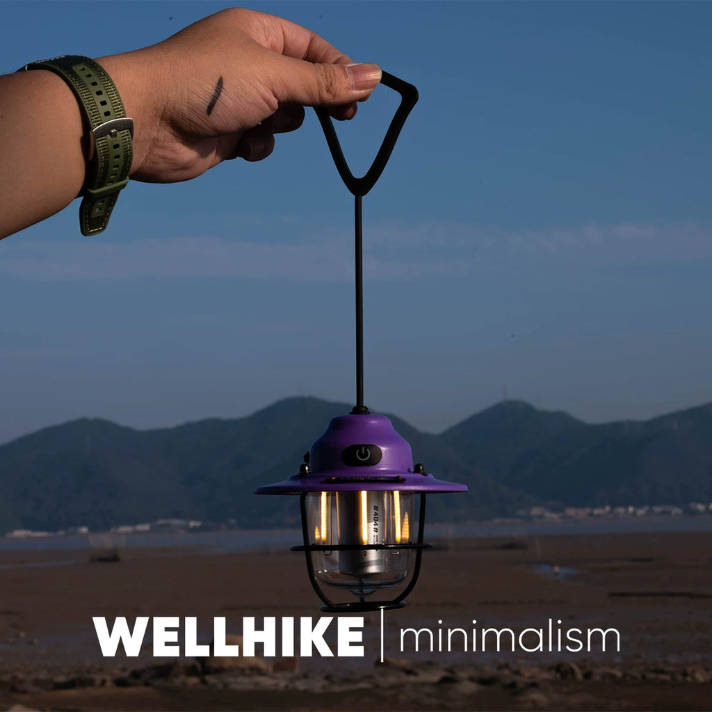 Wellhike mini pinecone camping lantern, rechargeable camp light, worn view
